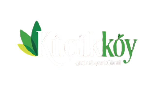 Küçükköy Gıda Marketleri